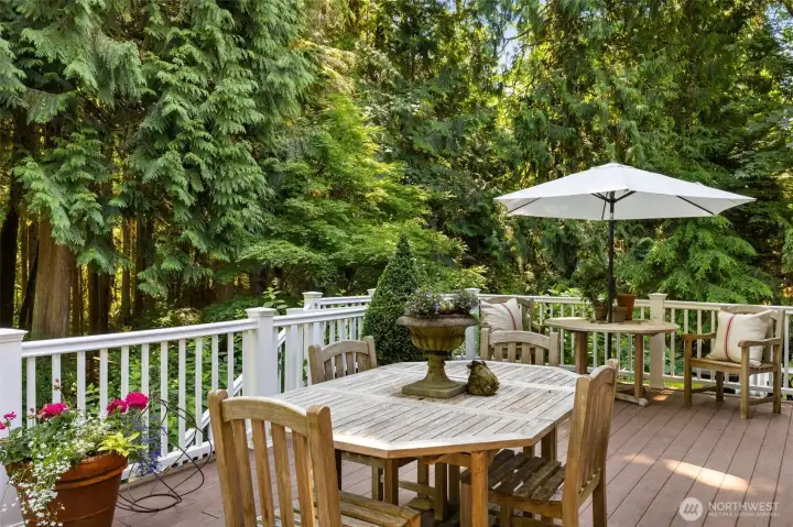 Over 3/4 of an acre lot!