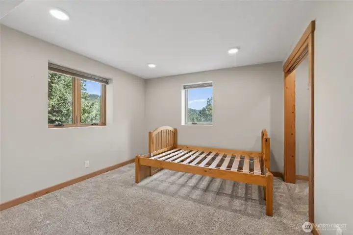 2nd lower level bedroom