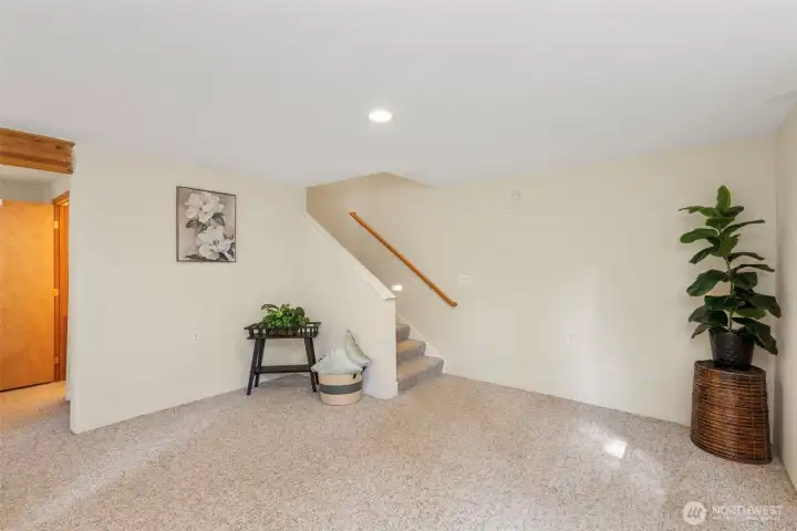 Daylight Basement