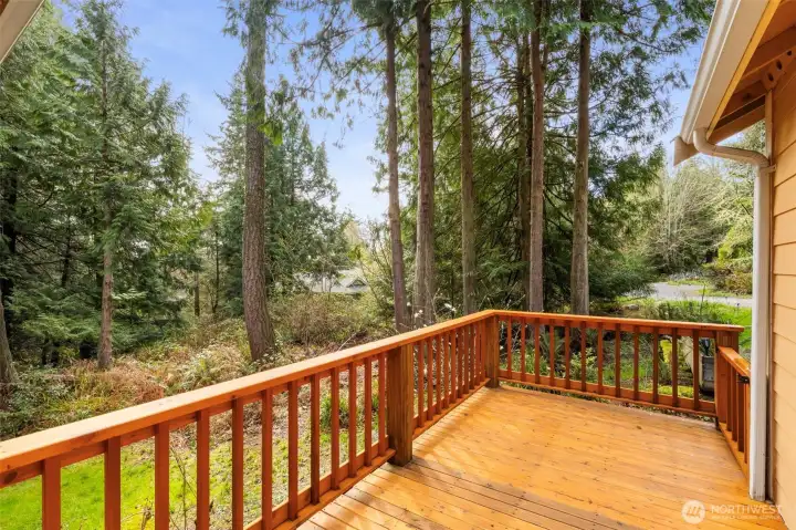 Front Deck