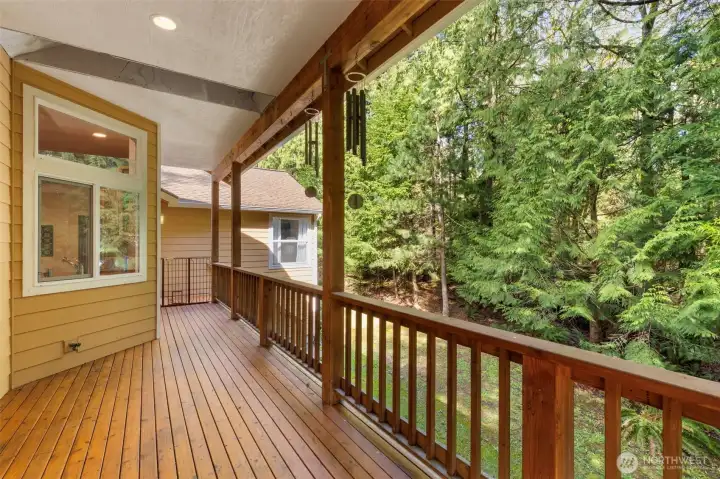 Back Deck