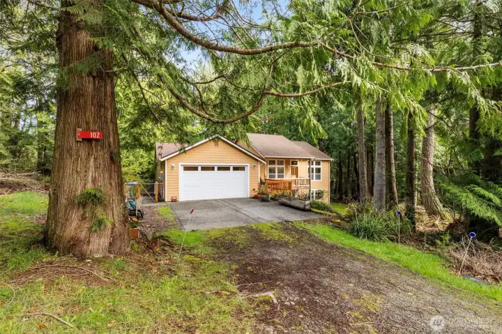 Front of home/driveway