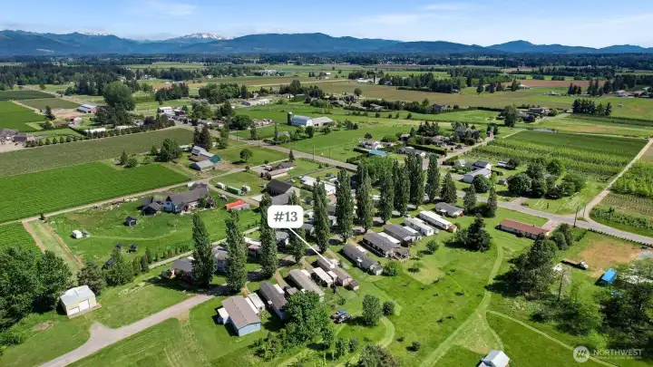The Royal Coachman is a quiet 25-unit community set along a beautifully tree-lined street with views of Mount Baker.