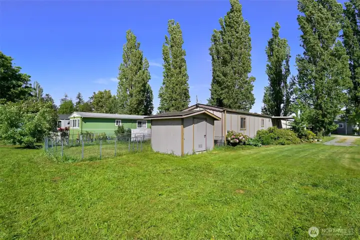 Shed!