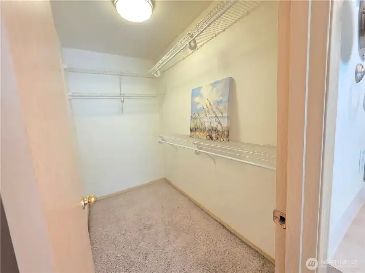 Spacious walk-in closet