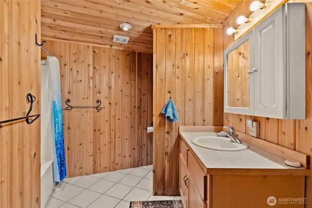Bottom floor bathroom