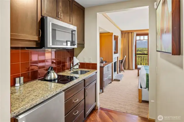 Undercounter fridge, 2 burner range, convection/microwave oven and sink...we're covered