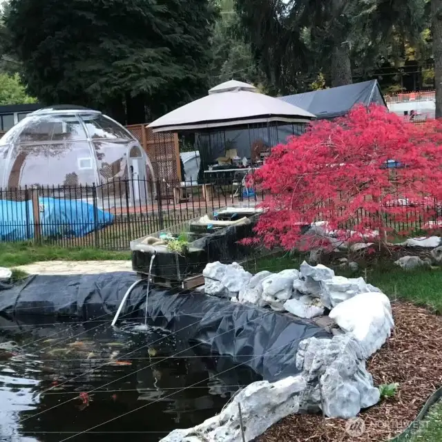 Fish pond