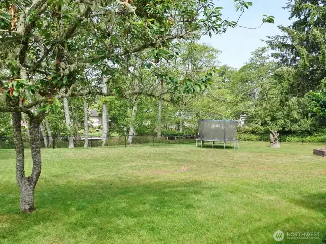 Enjoy the serenity in the backyard.