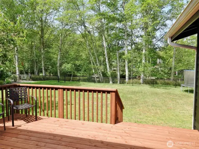 Deck overlooking the backyard.