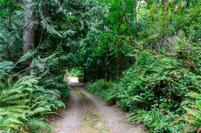Driveway off of Shady Glen.