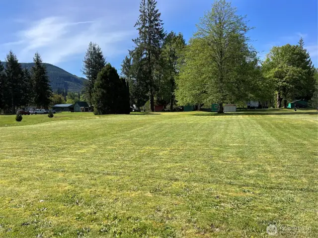 Huge level lawn/lot