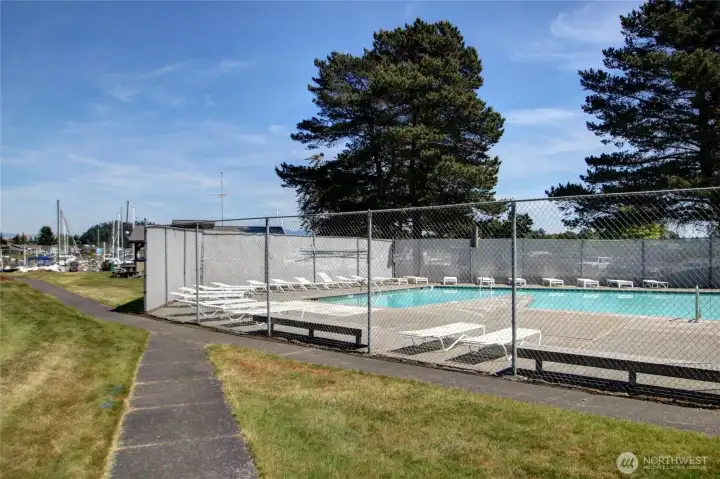 Shelter Bay community pool