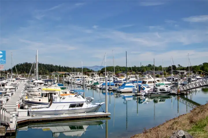 Shelter Bay marina