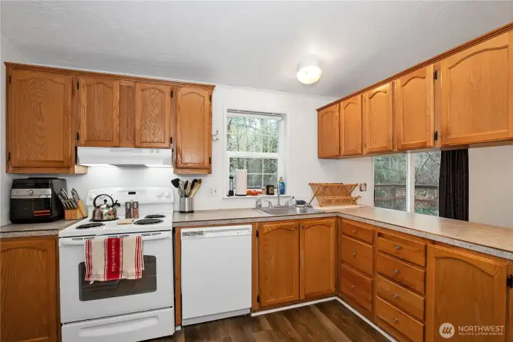 Kitchen Sink overlooks Backyard