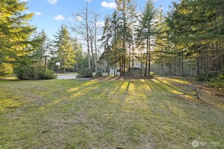 Westward views capture the soft glow of late-day sun streaming through the trees and across the lawn.  A quiet moment in nature where deer are known to wander at dusk.