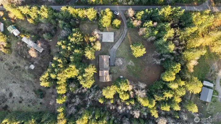 Secluded & Serene  2.5 Acres