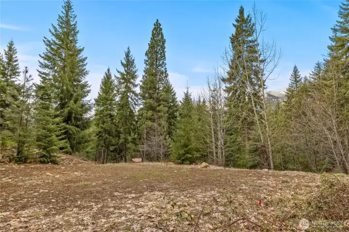 Cleared building site