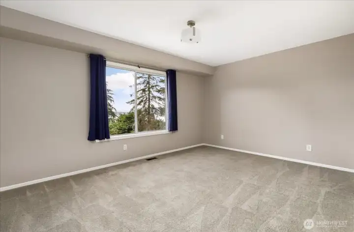 Lower level bedroom (unstaged)