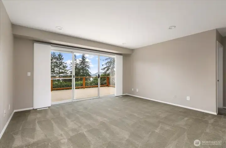Lower level family room (unstaged)