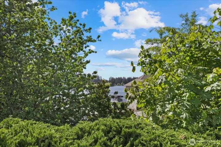 In the winter these leaves fall on the neighbors lot and opens up the view of the lake from the front of the home