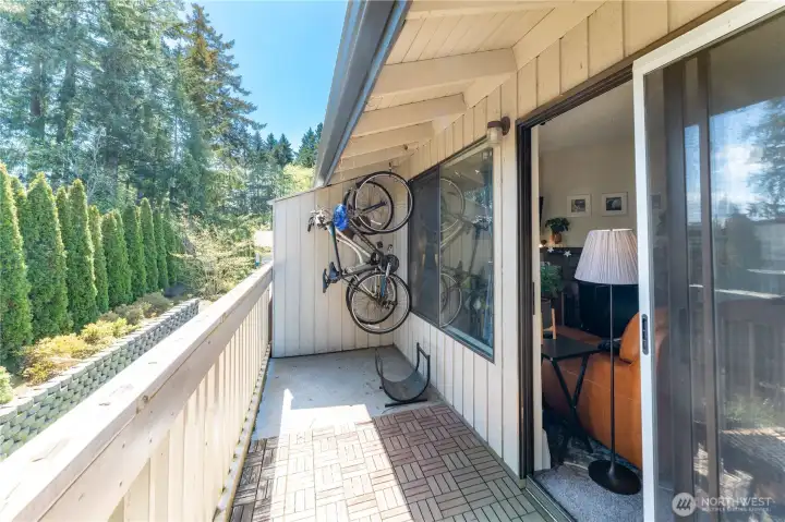 Large back patio