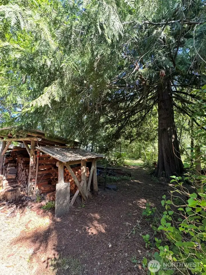 Wood shed off garage side