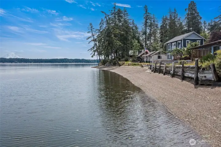Imagine beachcombing in your backyard!