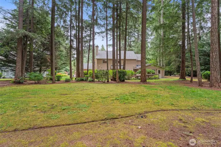 Large private backyard!