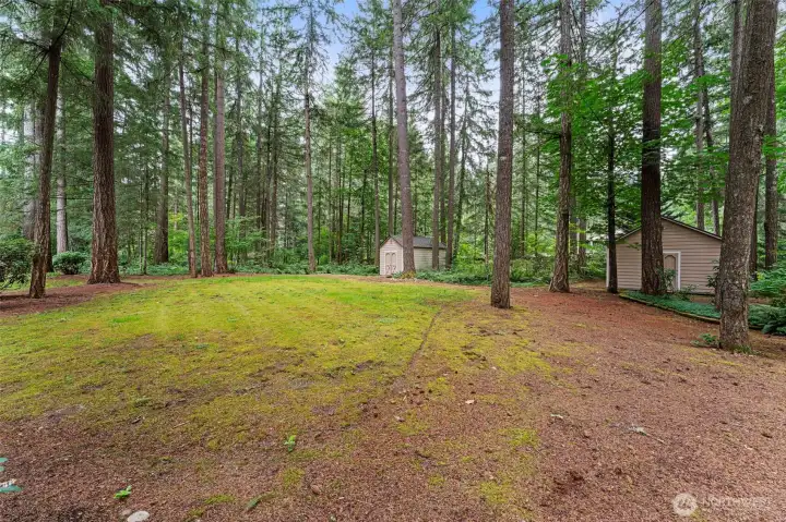 The backyard also features two storage sheds--you can't go wrong with additional storage!