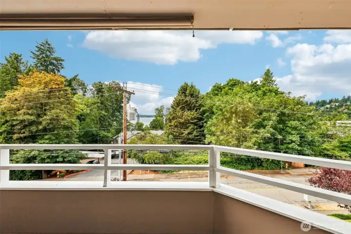 Balcony outlook with water glimpses through mature trees.