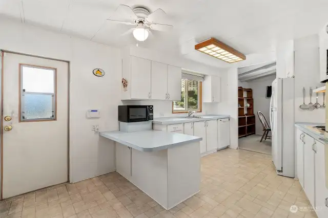 Kitchen island. backdoor.