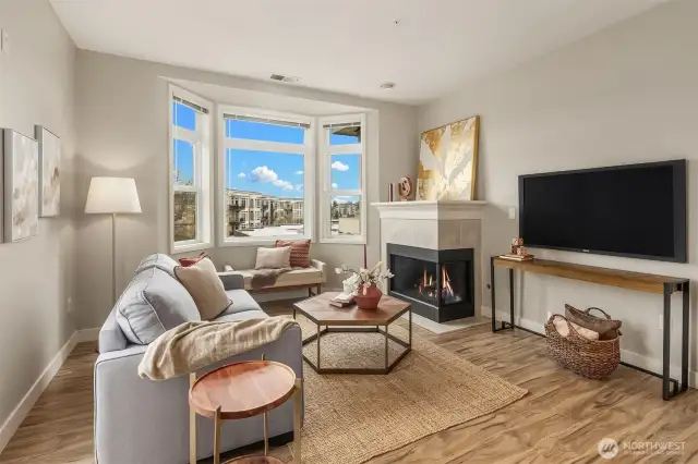 Gas fireplace