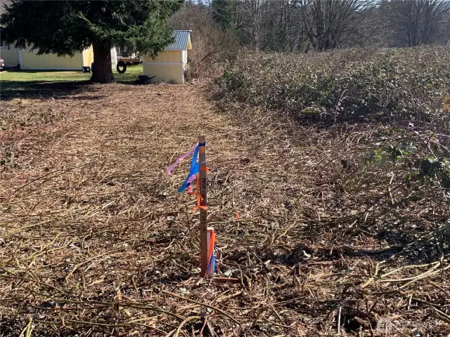 SW Corner, south property line