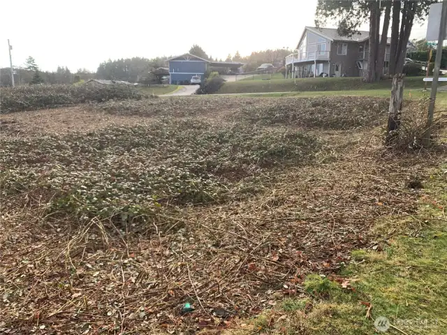 Looking to the SW corner. Lots of blackberry vines left that will trip you, be careful.