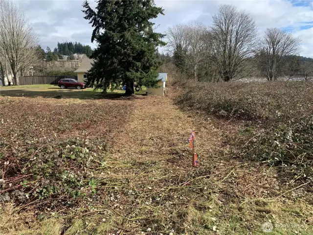 South border has been mowed, SE corner by back of shed.