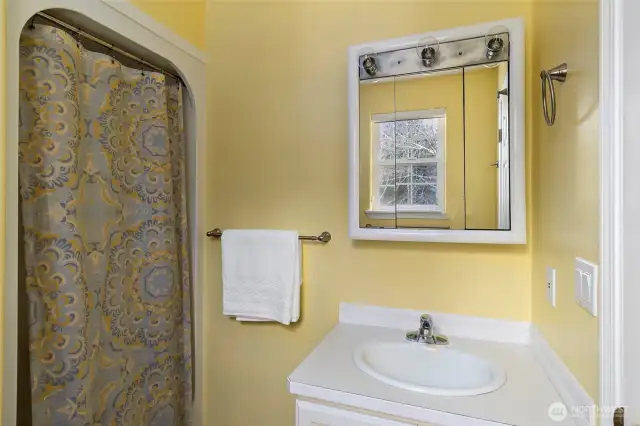 Bonus room ensuite bathroom.