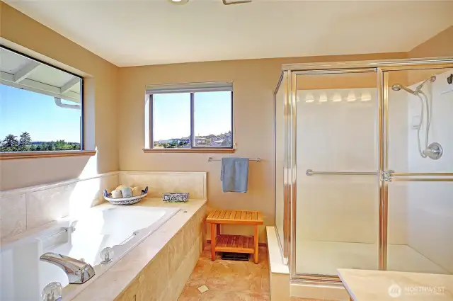 Primary bath with views as well...