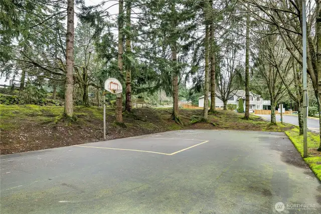 Basket ball hoop on premises