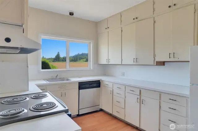 Lots of cabinets and cooking area
