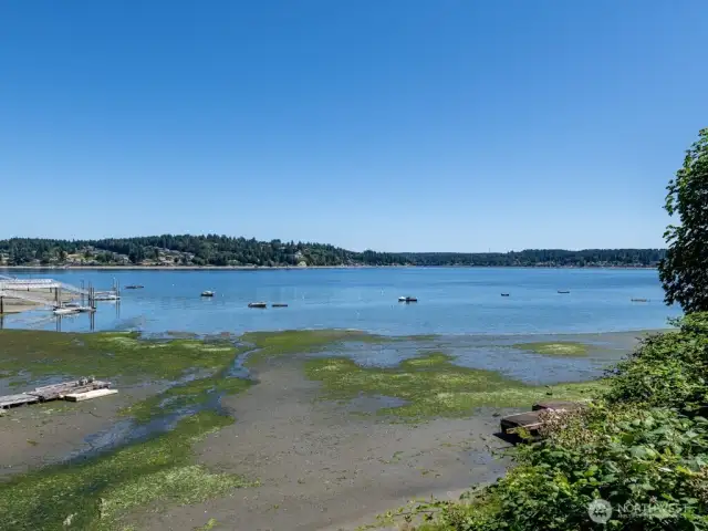 100' of waterfront on 4.23 acres