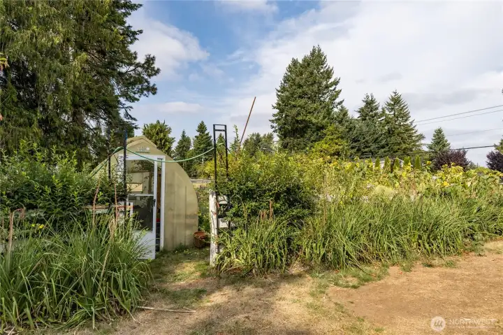 Greenhouse allows for year-long gardening!