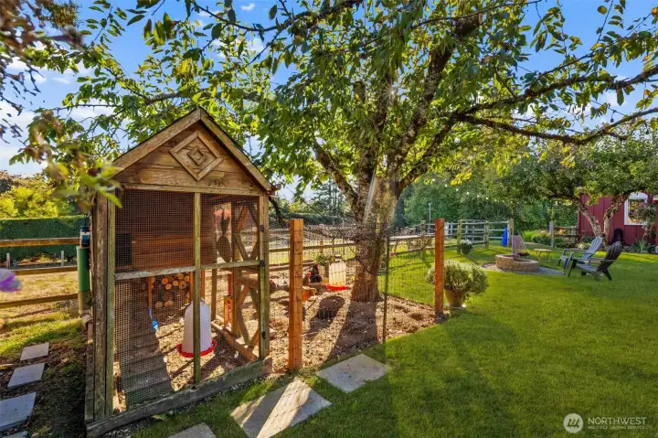 Chicken Coop @ The Cottage