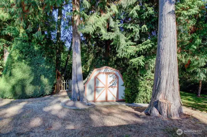 Shed in the backyard