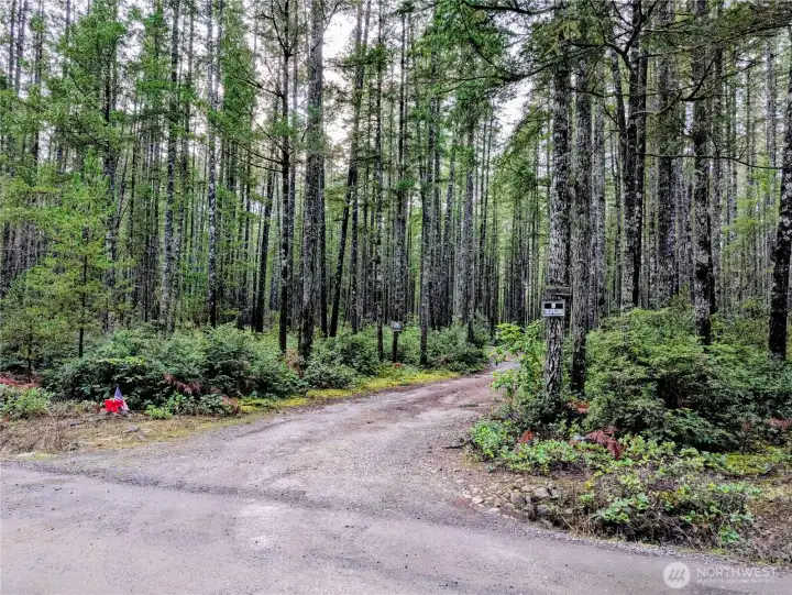 Driveway entrance at Sides Way property