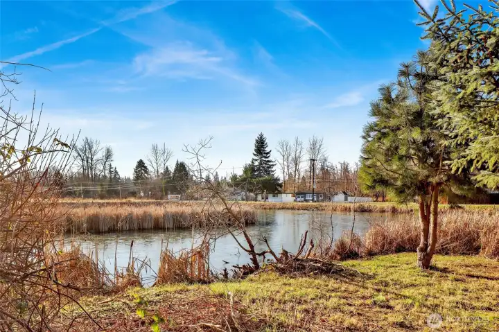 Next door, a retention pond offers a sanctuary for birds and creatures plus a serene view for sunsets!