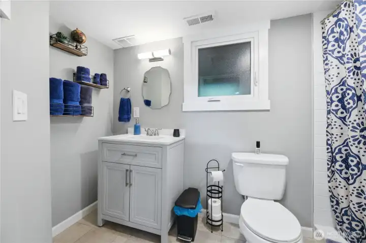 Basement bath with walk-in shower