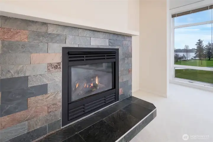 Gas fireplace