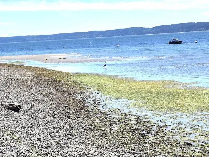 Out for a morning walk Out for a morning walk