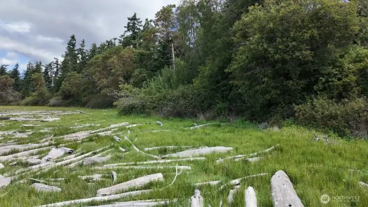 Enjoy birdwatching and sea life right from your own land Enjoy birdwatching and sea life right from your own land